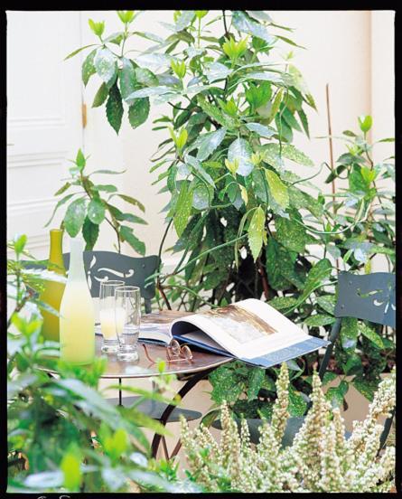 Hotel Alison Paris Ngoại thất bức ảnh
